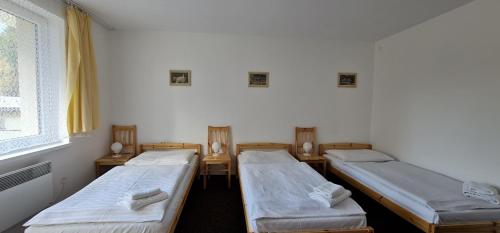 HOTEL SVRATKA - image 12