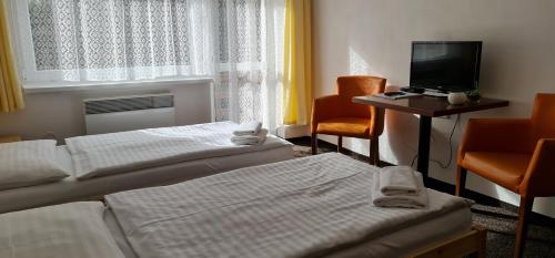 HOTEL SVRATKA - image 13
