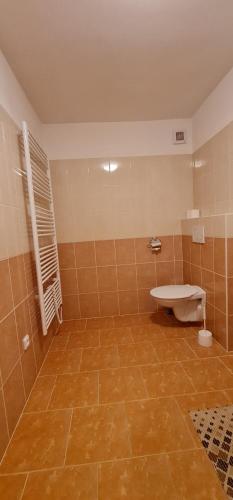 HOTEL SVRATKA - image 4