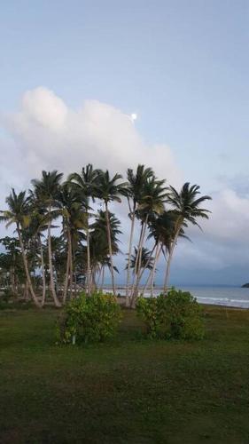 Free WIFI 1st Floor Apartment in Humacao