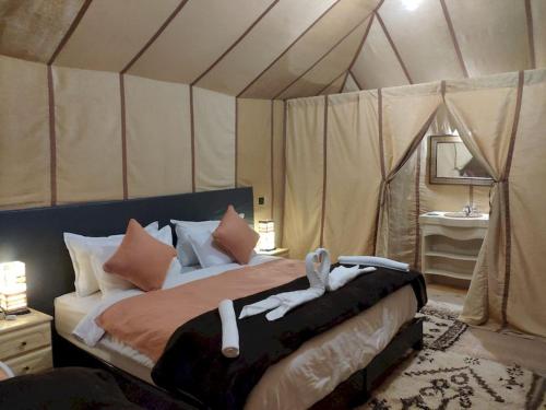 Camel Trips Luxury Camp