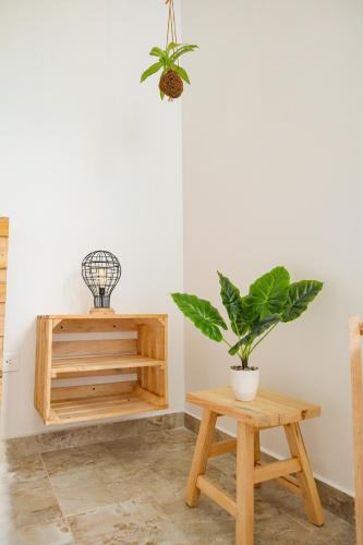 KOKEDAMA APARTAMENTO Santa Marta, Rodadero