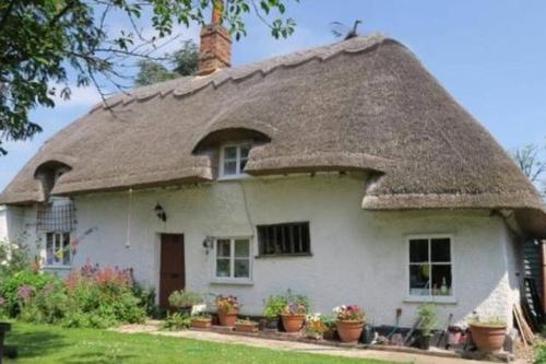 Entire Thatched Cottage