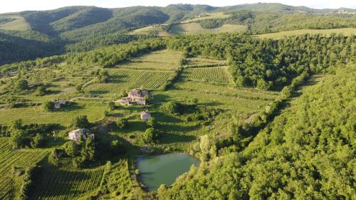  Agriturismo Podere Tegline, Radda in Chianti