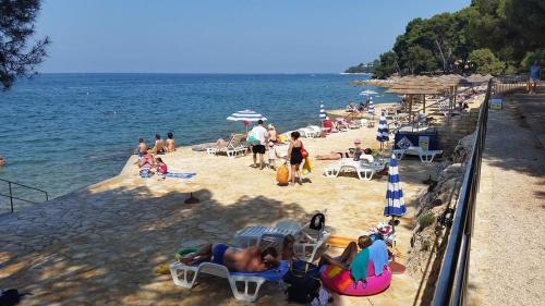 Létesítmények, Apartment Porec (228-1) in Spadici