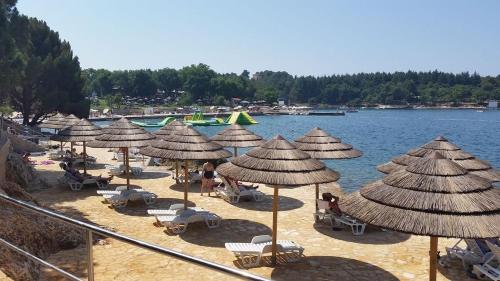 Létesítmények, Apartment Porec (228-1) in Spadici