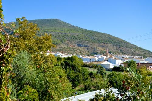 EcoAlbergue Rural de Algodonales