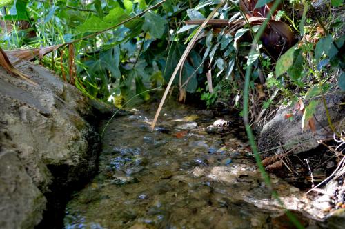 EcoAlbergue Rural de Algodonales