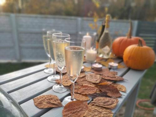 Domki apartamentowe BALIA
