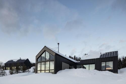 Chalet du bois flotté