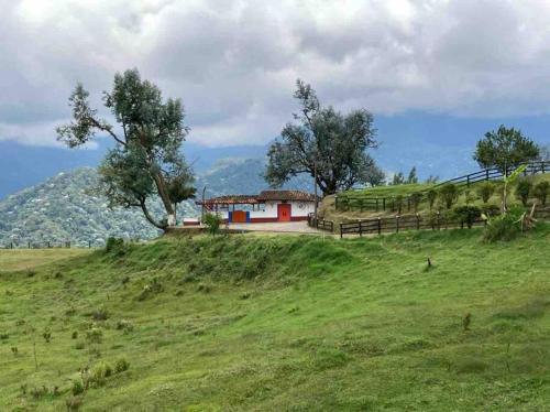 Finca la Ligia