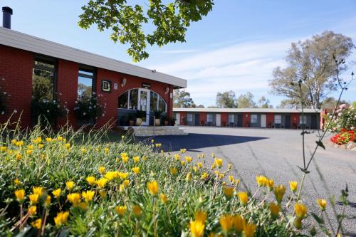 Seymour Motel in Seymour