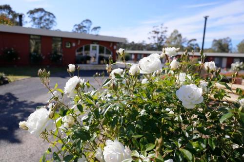 Seymour Motel