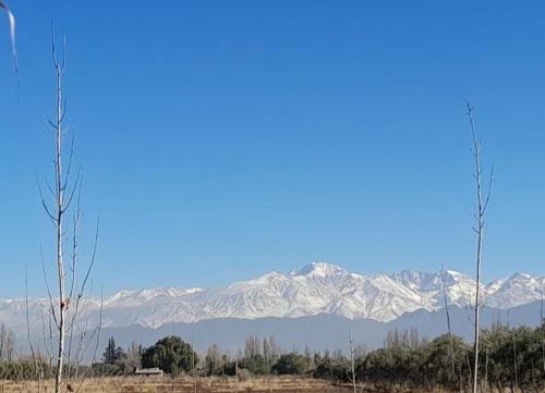 Casa Los alamos