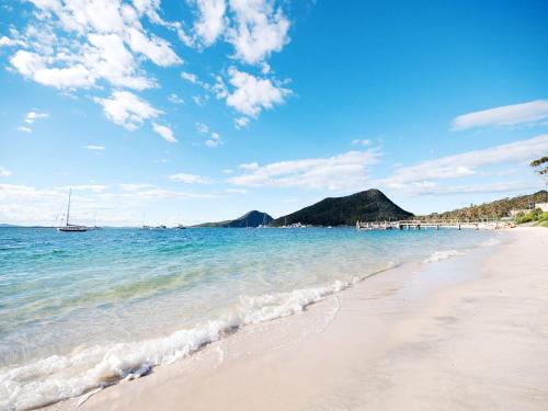 Oscars Pet Friendly Beach House 14 Tomaree Road