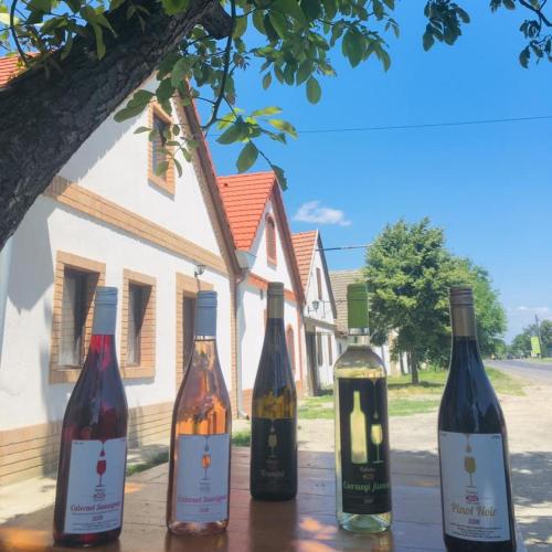 Takacs Pince apartman in Hajós