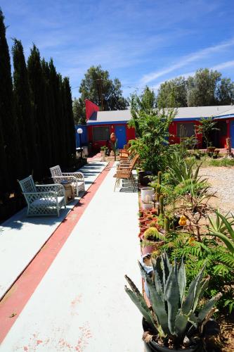 Safari Motor Inn - Joshua Tree - 편의 시설/서비스