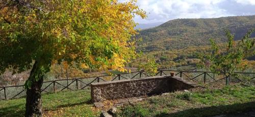 Nest In The Woods - Nido nel bosco
