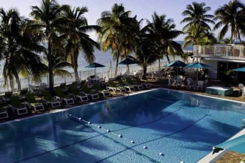 Tropical Getaway 3 Bed/2 Bath walking Distance to the Beach - image 3