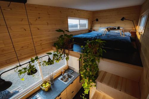 POP Tiny House Nagymaros - Apartment