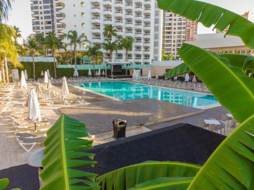 Hotel Rosamar - image 7