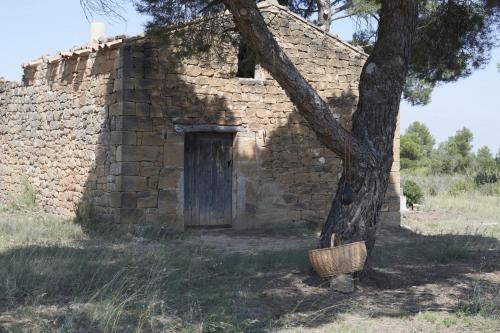 La Casa del Lino