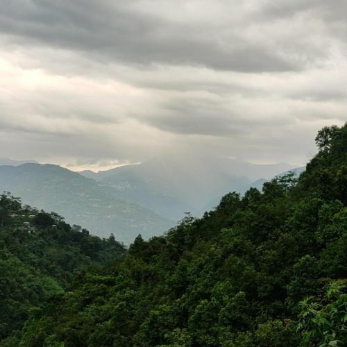 Spring Brook Homestay