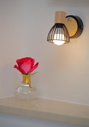 Apartment City Gem - image 7