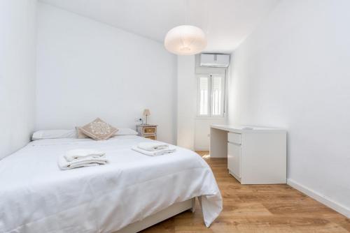 Solaga - Cervantes - image 4