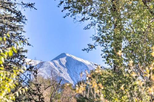 Carbondale Home - Steps to Dine, Shop and Hike! in Carbondale, USA