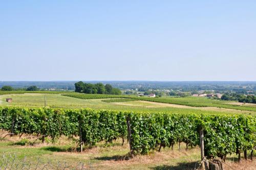 CLOS SAINT SAUVEUR - guesthouse au coeur des vignes sur le coteau