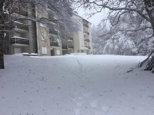 สภาพแวดล้อมโดยรอบ, Lo Cantalés d’Aubrac (Lo Cantales d’Aubrac) in ลาญอล