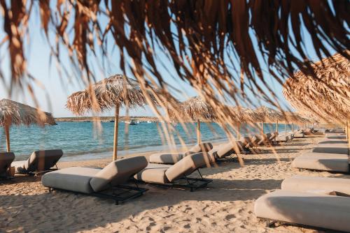 해변, Cove Paros in 파로스