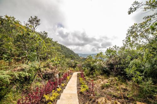 Cerro Verde Mirador, Medellín (photo 11)