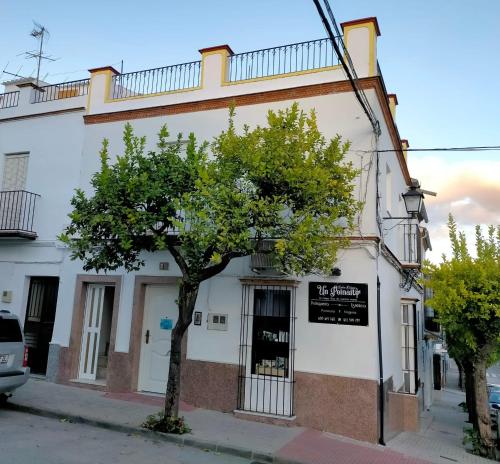  Jacaranda, Pension in Prado del Rey