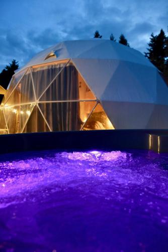 Mountain tea in 파블리아니