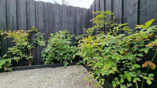 Timeless 2BR Grey Lynn Cottage - Fibre - WiFi