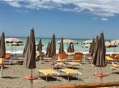  APPARTAMENTO SUL MARE - TOSCANA - MARINA di Bibbona Riviera degli Etruschi in Marina di Bibbona