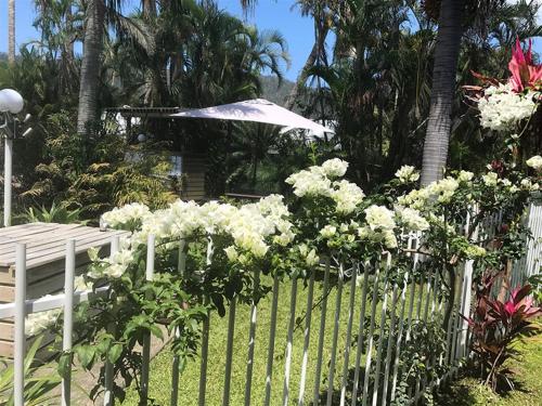 Mango House Resort - 정원