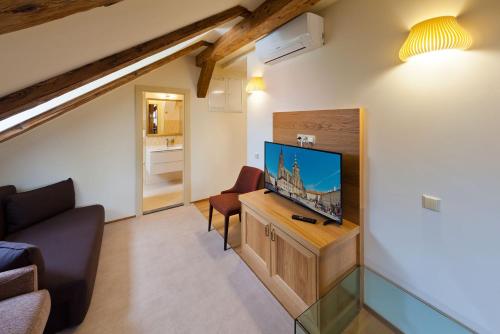 Deluxe Apartment with view