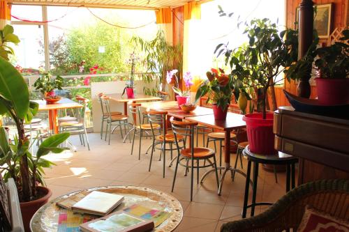 L'Oasis Bretonne photo 16