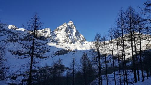 appartamento con vista Cervino- frazione Breuil Cervinia Cieloalto Piano 3 appartamento 306 reception Coin au Paradise Breuil Cervinia