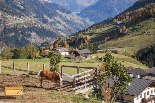 Egarthof Ferienwohnung Alpenrose