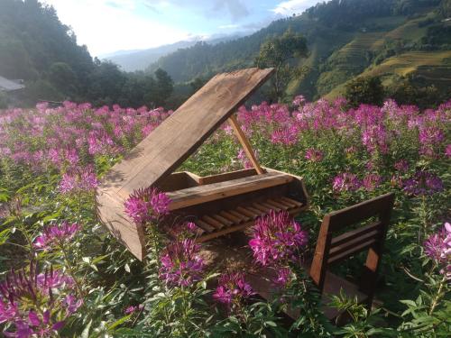 Mu Cang Chai Big view homestay