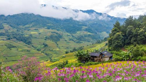 Mu Cang Chai Big view homestay