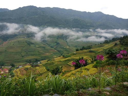 Mu Cang Chai Big view homestay