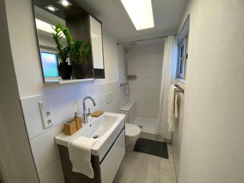 Bathroom, ☆FEWO ALTES KINO - MODERN - QUIET - 65M² - TV - NETFLIX - WLAN☆ in Mömlingen