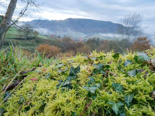 Ümbrus, El Balcon del Horreo in Pilona