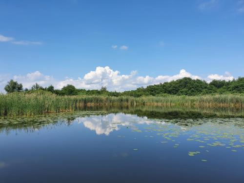 Lütt Hütt, Rechlin (foto 9)