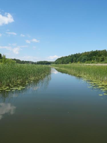 Lütt Hütt, Rechlin (foto 7)